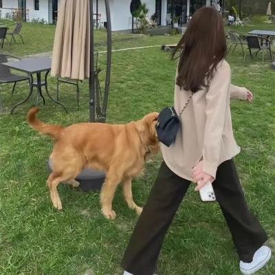 神探麦克
